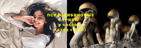 а пвп мука Елизово