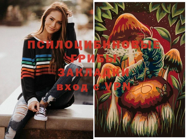 синтетический гашиш Ельня