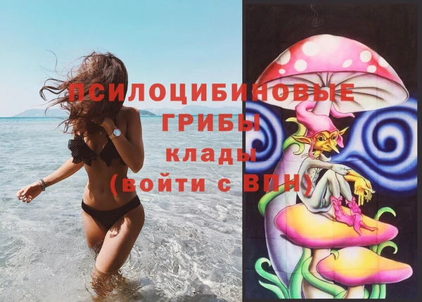 синтетический гашиш Ельня